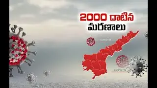 AP reports 10,800 new COVID 19 cases