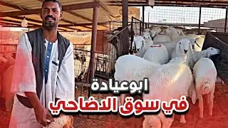 ابوعيادة في سوق الأضاحي 🐑| سنابات ابوحصة و ابوعجيب