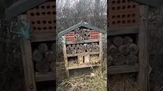 Bug House at Rodbaston Animal Zone