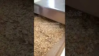 Shrimp skin microwave dryer, fresh and fragrant drying tunnel furnace