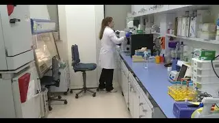 Science and education become strategic priorities for the country's development