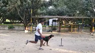 SIS Dog Training Center Dehradun