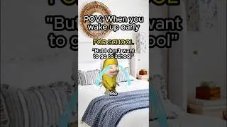 CAT MEMES 🐱 WHEN YOU WAKE UP EARLY #relatable #cat #funny #family #shorts