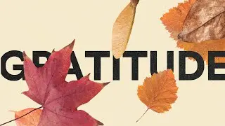 Gratitude - Week 1 // Gratitude that Speaks