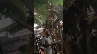Murray Batanda aka TheBlackPoet (Uganda) - WPSC 2023 Africa Qualification