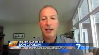 WHIO: Wright State biology professor talks about cicadas and how they're effected by cold temps