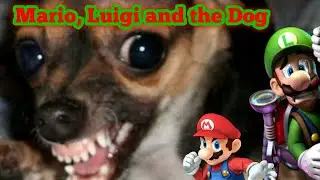 SMBTS: Mario, Luigi, and the Dog