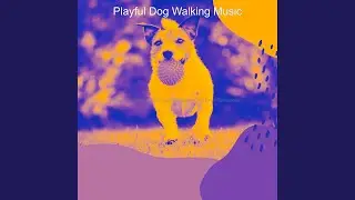 Vivacious Music for Morning Dog Walks