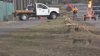 Crews remove more than 50 trees near Liberty Lake Golf Course, residents voice concern