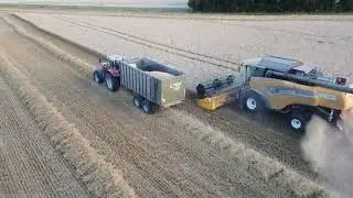 Moisson 2022/2023