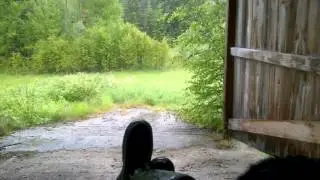 Ingenting - Bjørnen