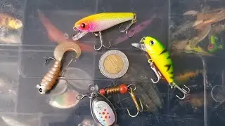 Micro pesca con línea de 4 libras super recomendada