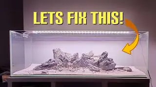 Fixing Our Seiryu Stone Aquascape!