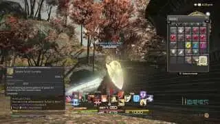 Final Fantasy XIV:  Alexandrite Tips and Tricks + [HOLY SHIELD NOVUS UNLOCK!]