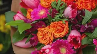 Zupan's has plenty of flowers for the first day of spring!