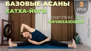 #41. Йога для начинающих. Базовые асаны хатха-йоги (75 мин)