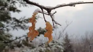 Parkta Kısa Bir Gezinti - Aksaray