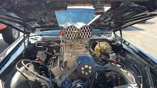 Step Into The Mint Car Show: Drool-Worthy Classics & Muscle Cars