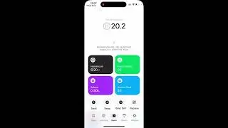 HUMAN COIN GUIDE