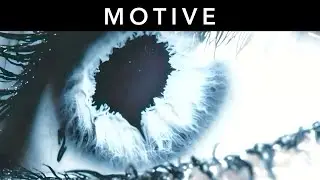 Tommy Phillips - Fixation