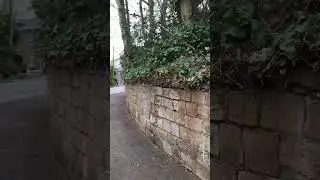 We trimmed the overgrown ivy from the walls on this private road Aigburth Liverpool