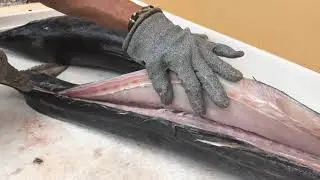 How to Fillet Wahoo