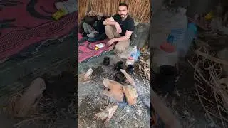 Village Life of Egypt