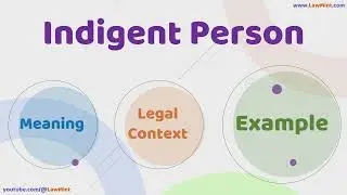 Indigent Person Meaning Legal Context & Example Legal Terms Simplified @LawMint
