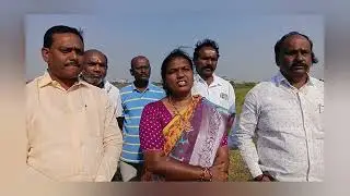 Free distribution of baby fish @prmnewstelugu