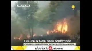 Massive forest fire in Tamil Nadu kills 9, injures 8 n
