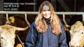 Nötköttbristen kan fortsätta i upp till fyra år