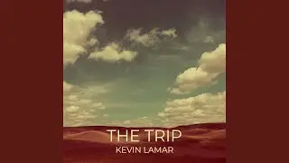 The Trip