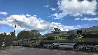 Historic Stone Mountain Train Ride