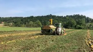 ernte 2021 r&ouml;ssl