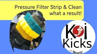 Wow What A Difference- Pondtec Pressure Filter Strip Down| New Pad