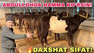 🔥 22-BOSH DAXSHAT HUNO JINLAR &mdash; ABDULLOHDA!