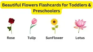 Beautiful Flowers Flashcards for Toddlers & Preschoolers 🌻 |Kids Learning with fun#preschool