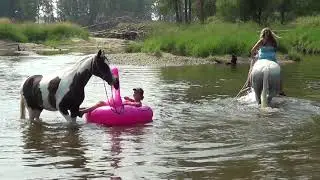 Flamingo in Bitterroot River