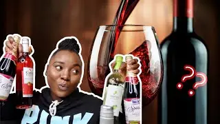 CHEAP VS. EXPENSIVE WINE | BEST WINES AT H-E-B UNDER $5 EACH | GET TO KNOW ME TAG | TOP 4 BEST WINES
