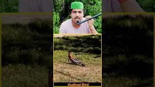 Juthah Huthah Parenda #islam#viral.