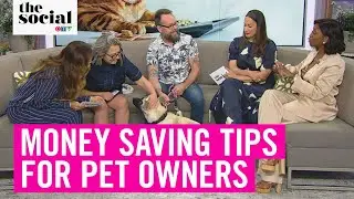 Money-Saving Tips For Pet Owners! 💸 | The Social