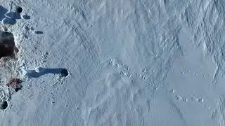 Seal Breathing Hole Polar Bear Capture