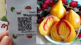 Розпаковка насіння на 2026 сезон