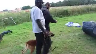 Handler defence training for mondioring