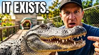 Inside the WORLD&rsquo;S GREATEST Crocodile & Alligator Park 🐊 Private VIP Tour