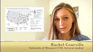 Cost of Veterinary Education