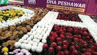 Islamia College Peshawar Flower Show (gulli dawode) DHA Peshawar