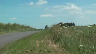 Porsche 911 3.0 Rally Car