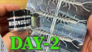 5 BAITS in 5 DAYS (Day 2) - Featuring Moondust! (SDG Uncut)