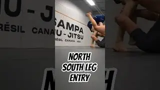 north south leg entry #katame #bjj #nogi #jiujitsu #leglocks